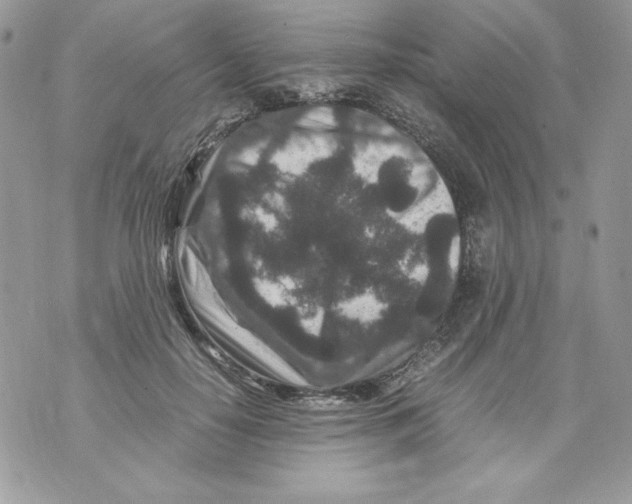 X0000070410650200607072310