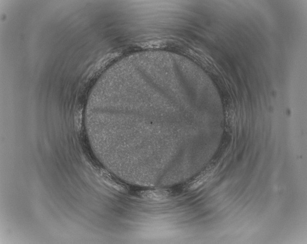 X0000070410652200607072310