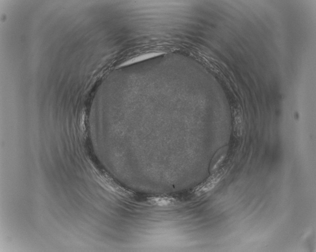 X0000070410654200607072310