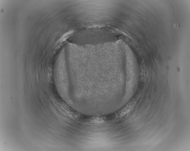 X0000070410656200607072310