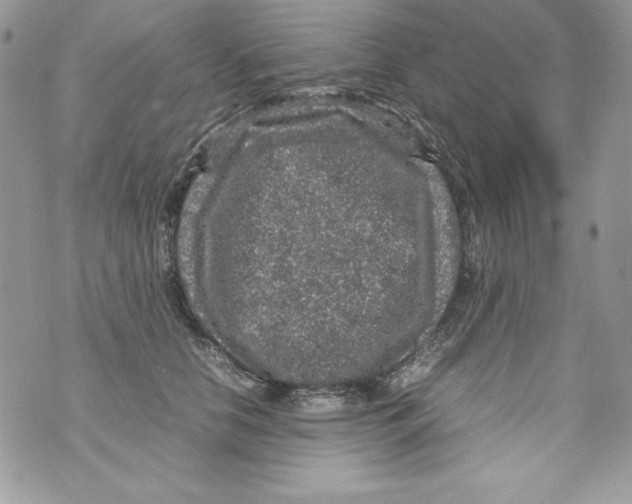 X0000070410658200607072310