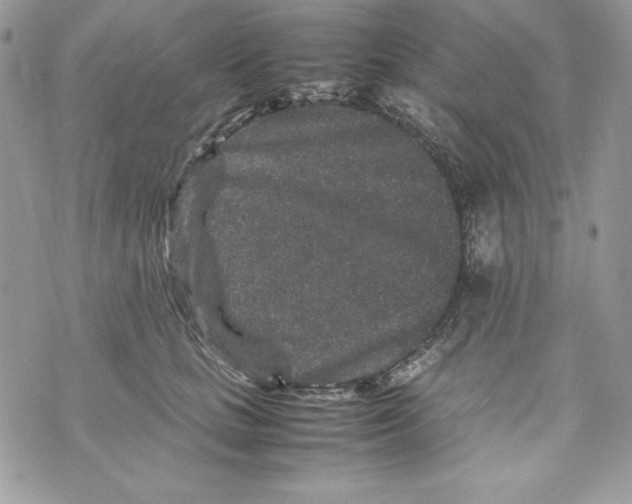 X0000070410661200607072310