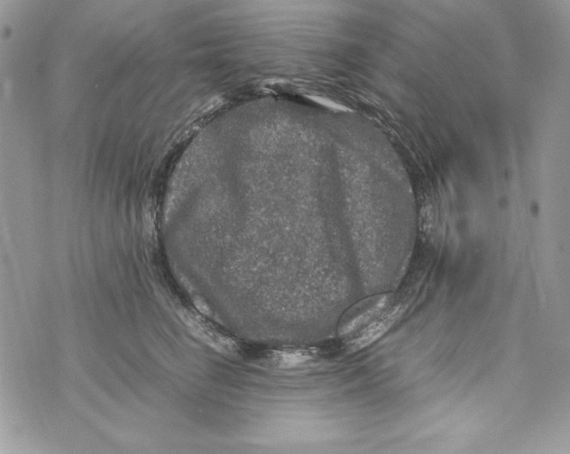 X0000070410662200607072310