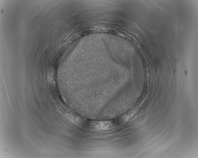 X0000070410663200607072310