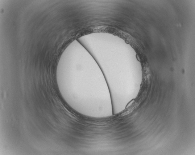 X0000070410664200607072310