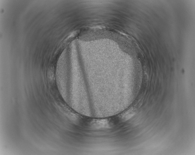 X0000070410665200607072310