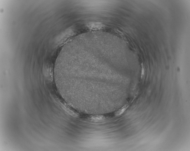 X0000070410666200607072310