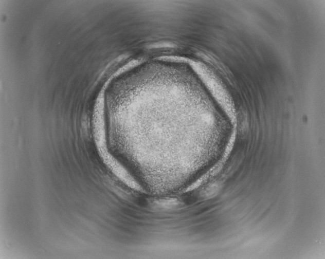 X0000070410669200607072310