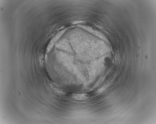 X0000070410671200607072310