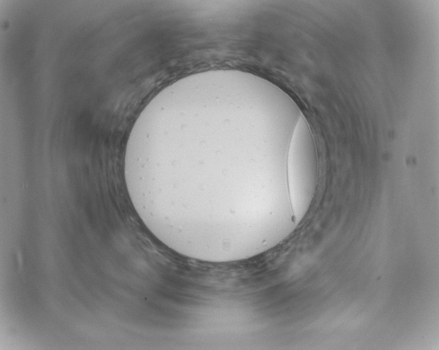 X0000070410672200607072310