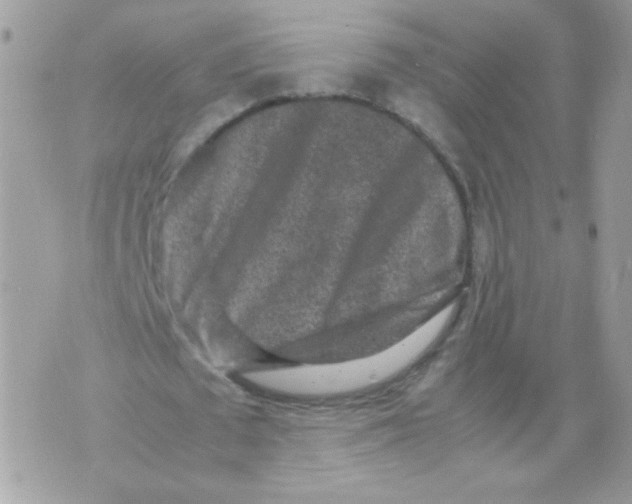 X0000070410673200607072310