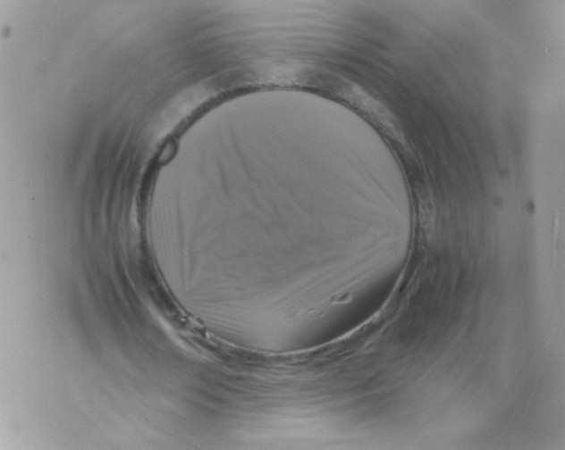 X0000070410674200607072310