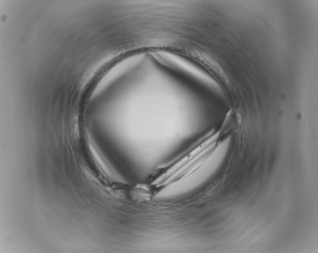 X0000070410676200607072310