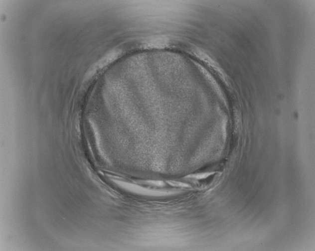 X0000070410681200607072310