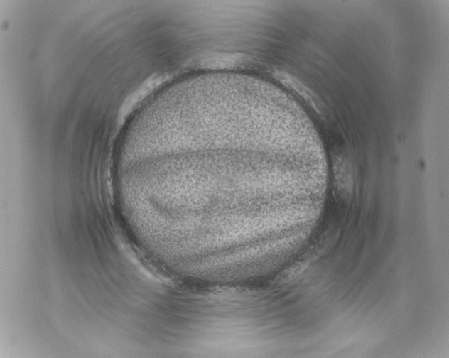 X0000070410682200607072310