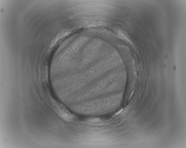 X0000070410685200607072310