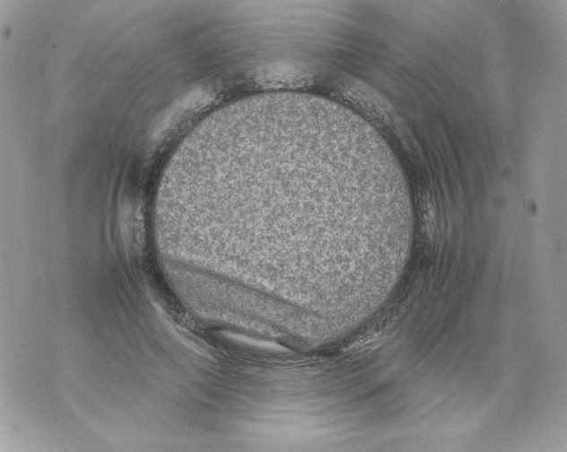 X0000070410690200607072309