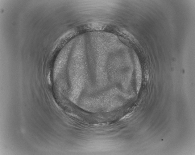 X0000070410693200607072309