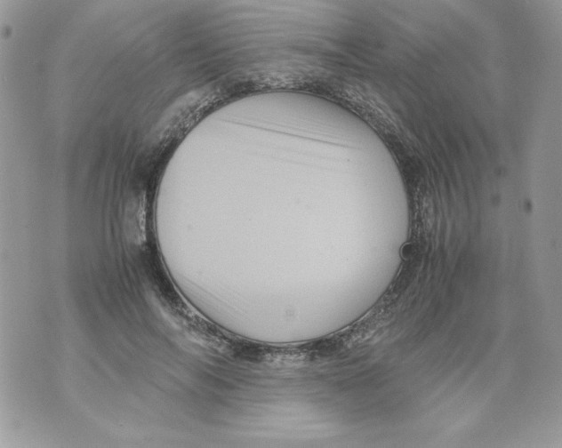 X0000070410694200607072309