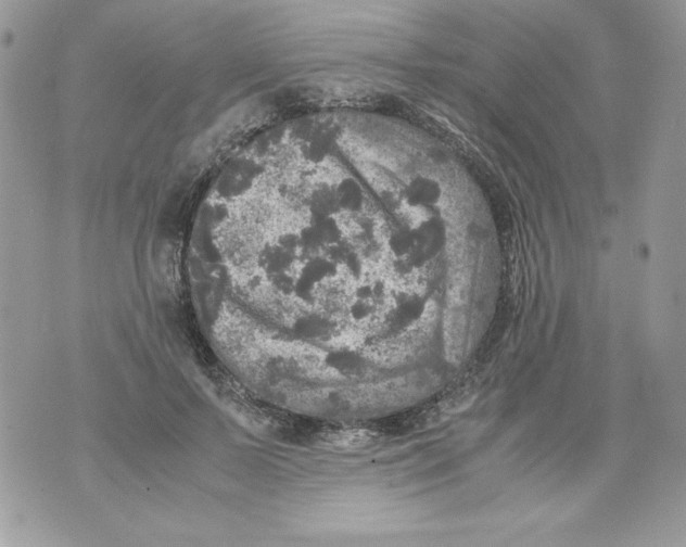 X0000070410695200607072309