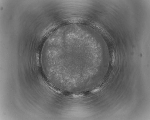 X0000070410696200607072309