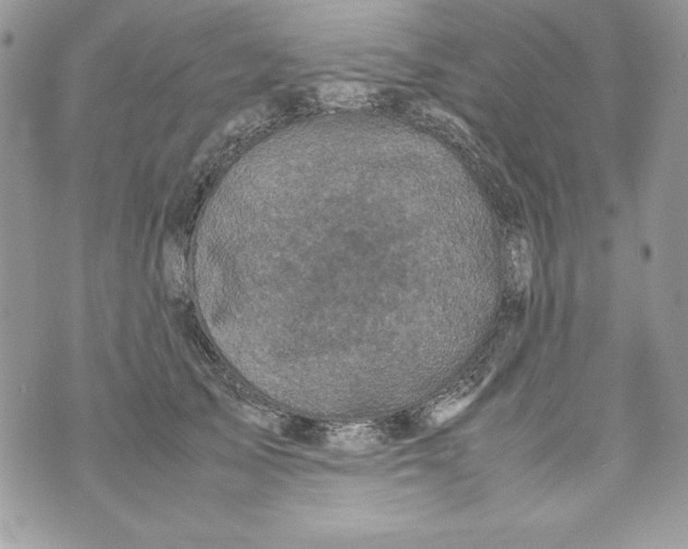 X0000070410705200607072309