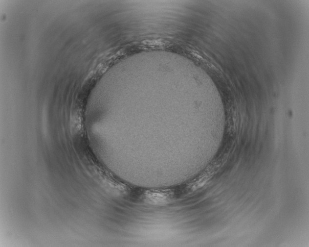 X0000070410706200607072309