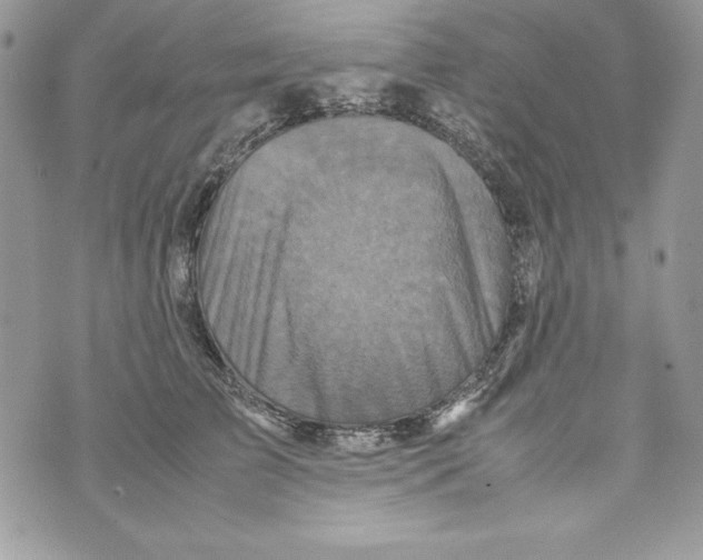 X0000070410709200607072309