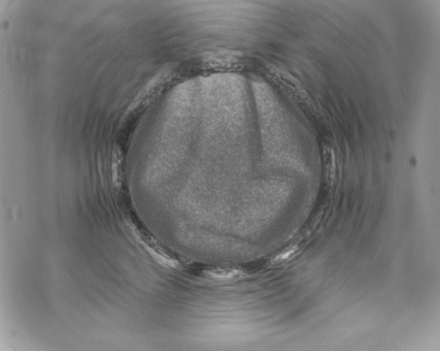 X0000070410712200607072309