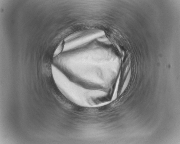 X0000070410719200607072309