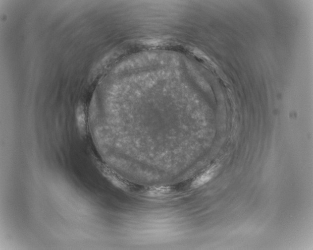 X0000070410720200607072309