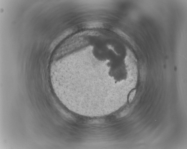 X0000070410721200607072308