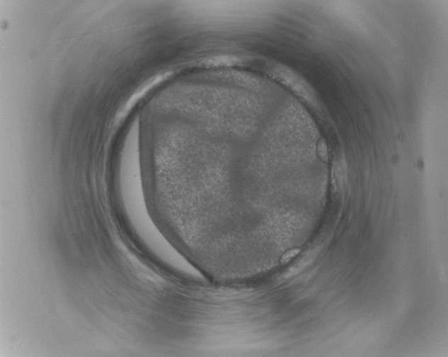 X0000070410722200607072308