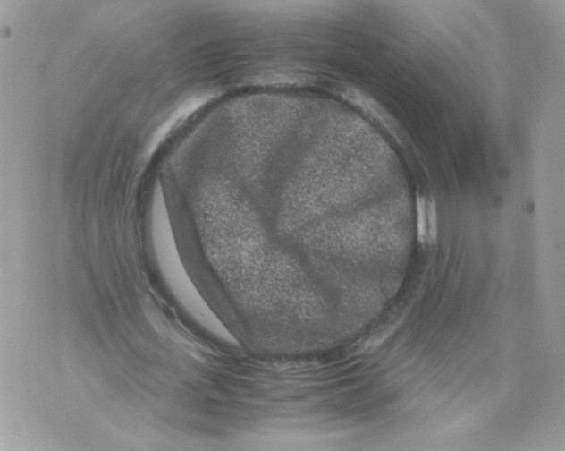 X0000070410723200607072308