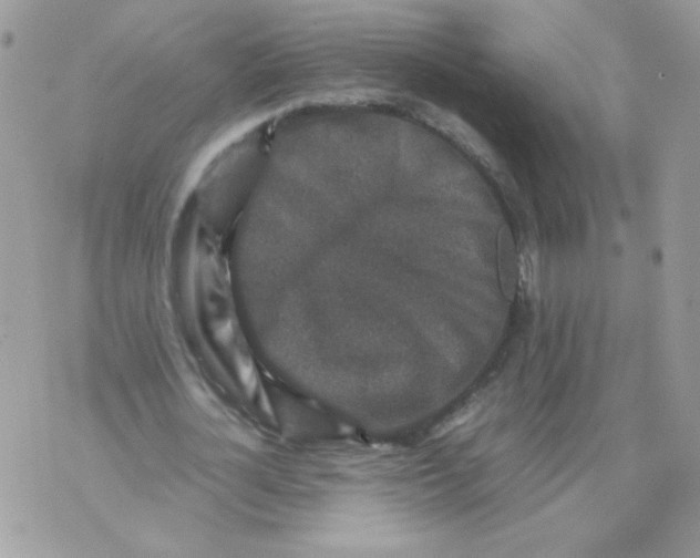 X0000070410724200607072308