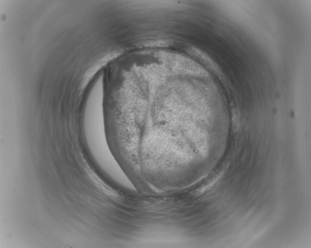 X0000070410725200607072308