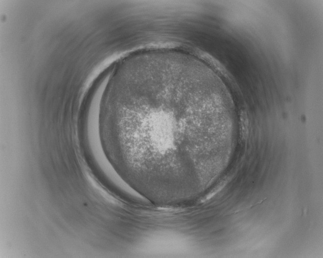 X0000070410726200607072308