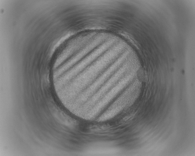 X0000070410727200607072308