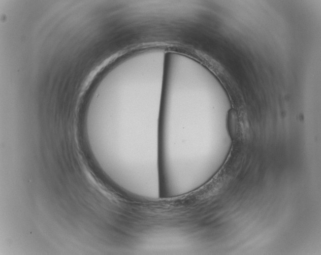 X0000070410728200607072308