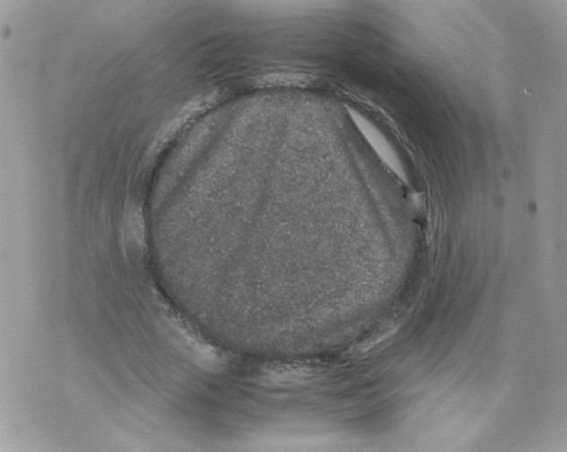 X0000070410729200607072308