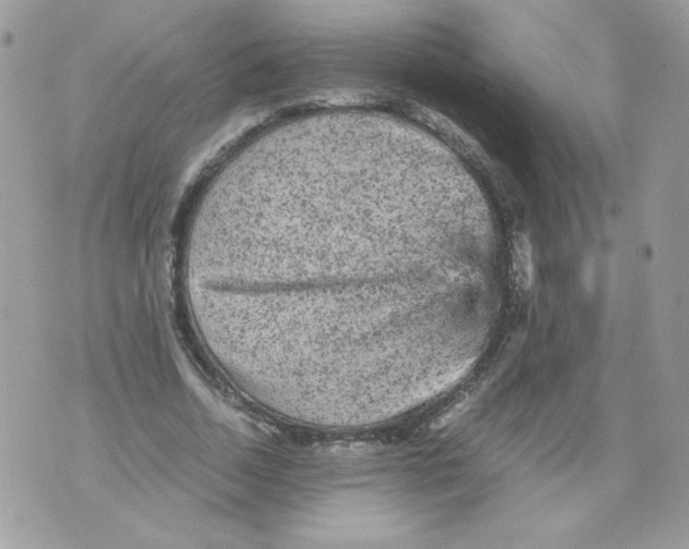 X0000070410730200607072308