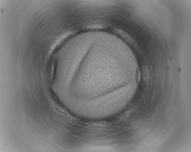 X0000070410731200607072308