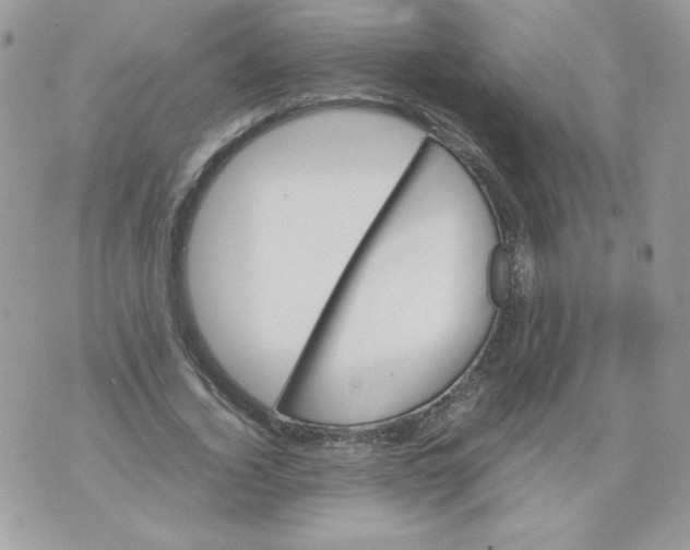 X0000070410732200607072308