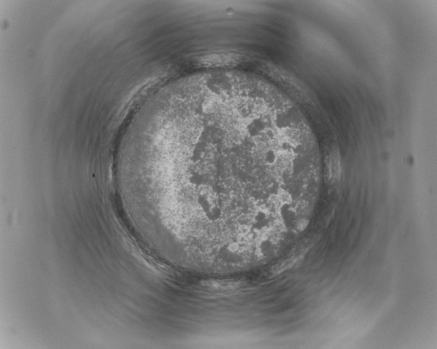 X0000070410733200607072308