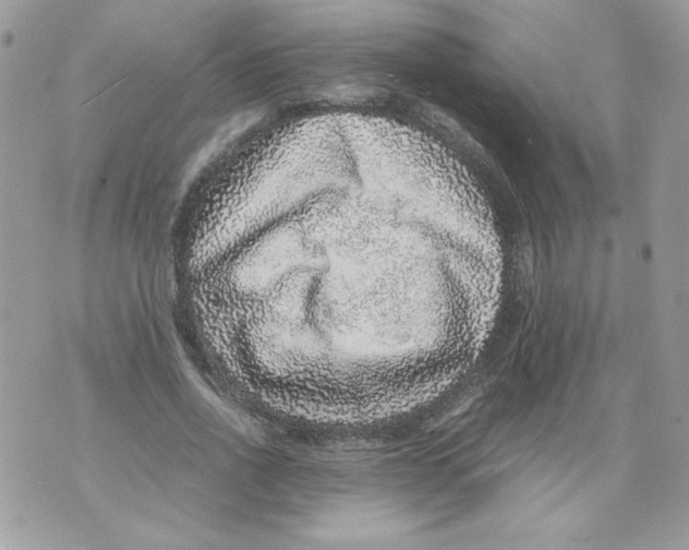 X0000070410734200607072308