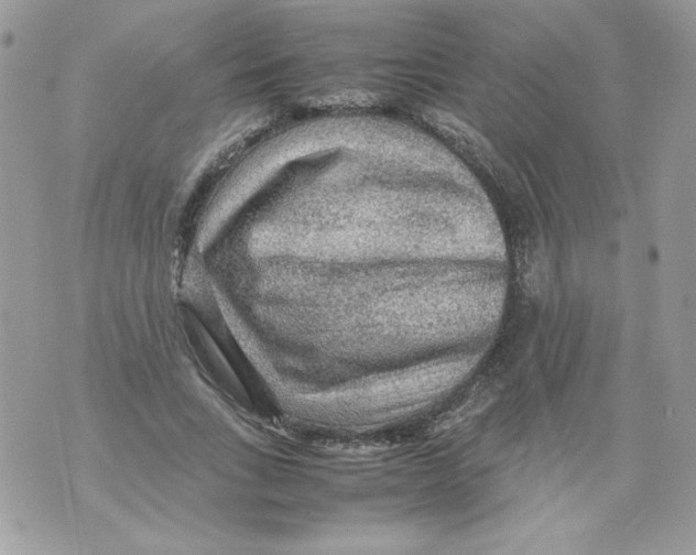 X0000070410735200607072308