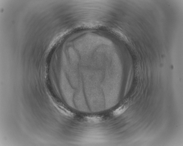 X0000070410736200607072308