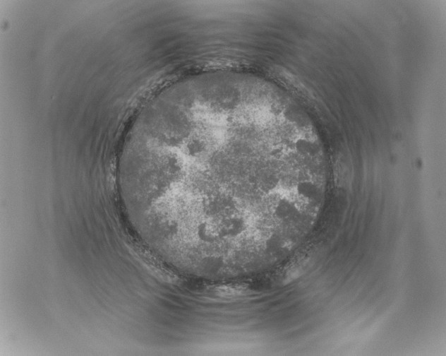 X0000070410737200607072308