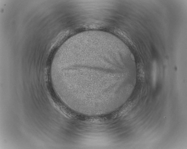 X0000070410738200607072308