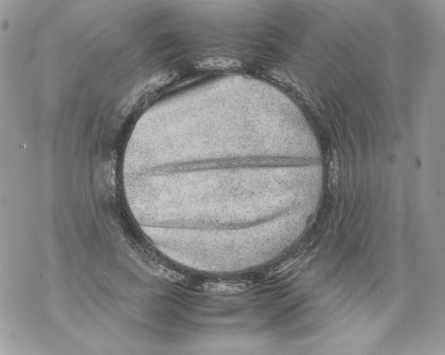 X0000070410739200607072308